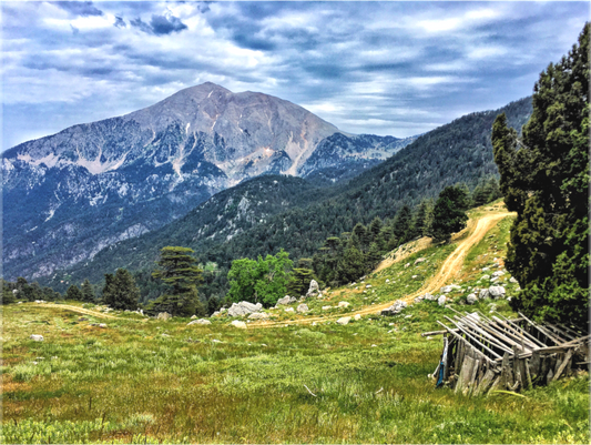 Mountain Trail - photo print