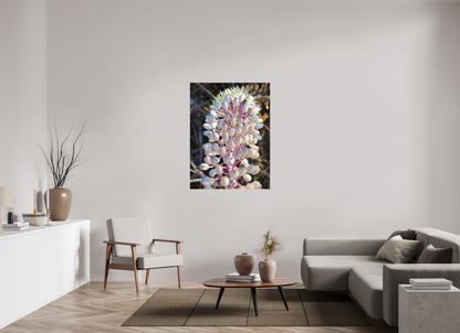 36 x 48″, Print for Indoors Photo print of "Sea Squill" by Luvinans.