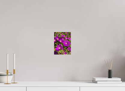 Behold the Fragile Beauty of Winter: "Hardy Ice Flower" - photo print