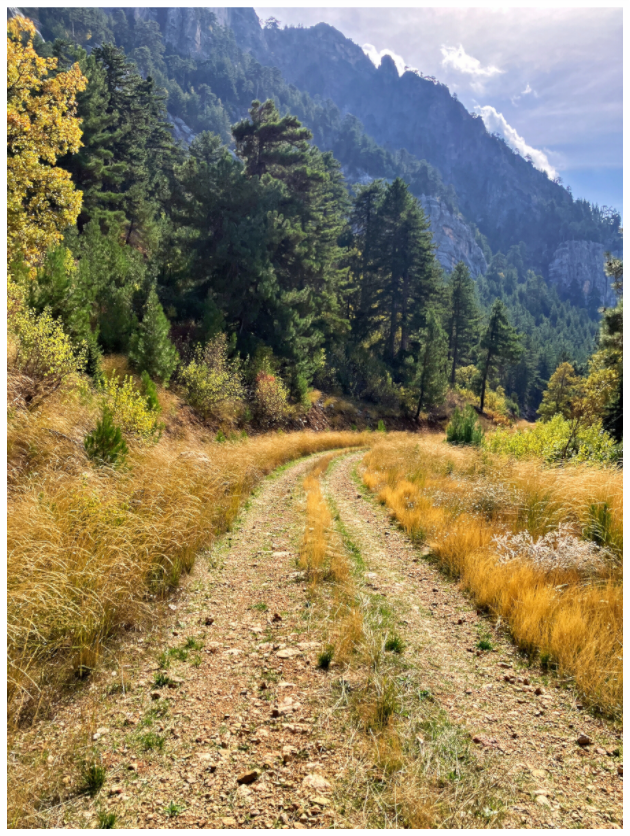 Main image Embrace the Journey: "Down the Trail" - photo print