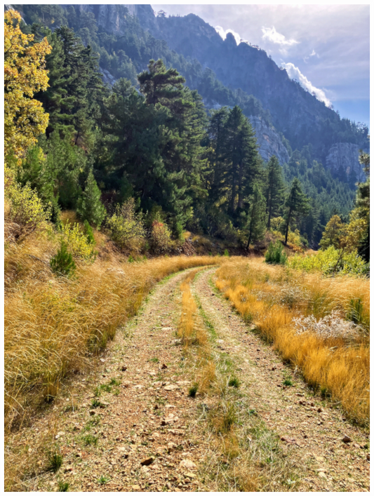 Main image Embrace the Journey: "Down the Trail" - photo print