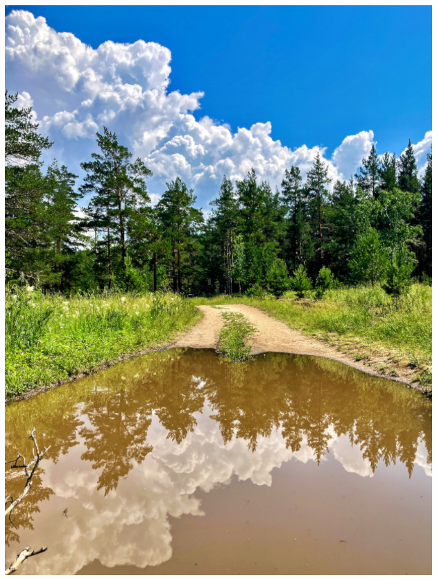 Main image Walk the Line Between Earth and Sky: "Mirror Path" - photo print