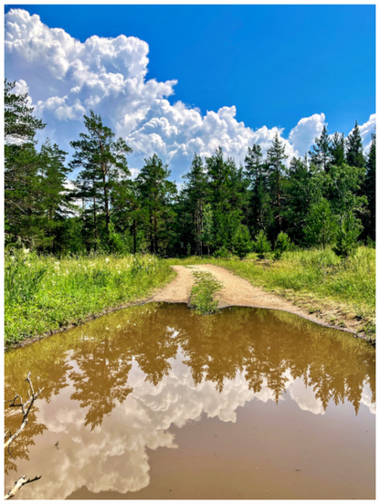 Main image Walk the Line Between Earth and Sky: "Mirror Path" - photo print