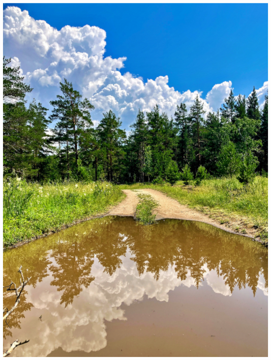 Main image Walk the Line Between Earth and Sky: "Mirror Path" - photo print