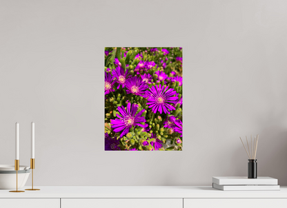 Behold the Fragile Beauty of Winter: "Hardy Ice Flower" - photo print
