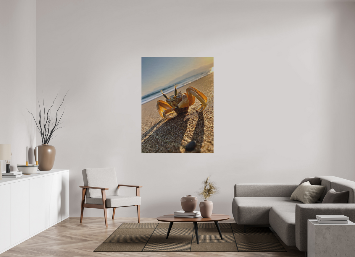 42 x 56″, Print for Outdoors Photo print of "The Crab" by Luvinans