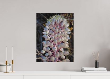 15 x 20″, Print for Outdoors Photo print of "Sea Squill" by Luvinans.
