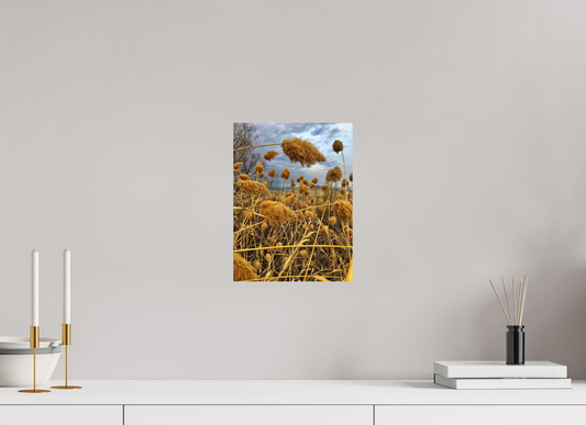 Golden Grass - photo print