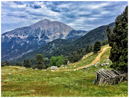 Main image Follow the Path to Adventure: "The Mountain Trail" - photo print
