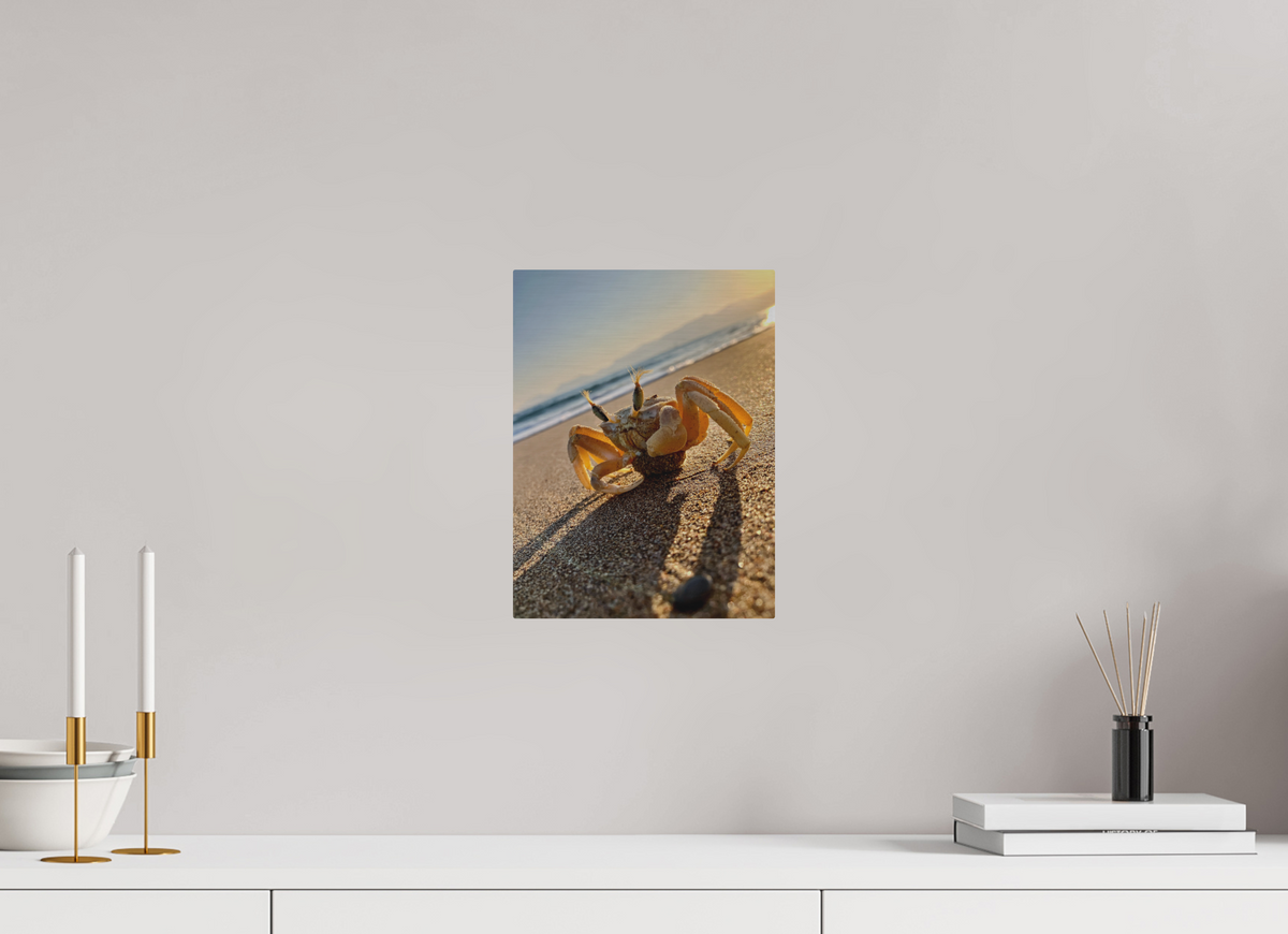 9 x 12″, Print for Outdoors Photo print of "The Crab" by Luvinans