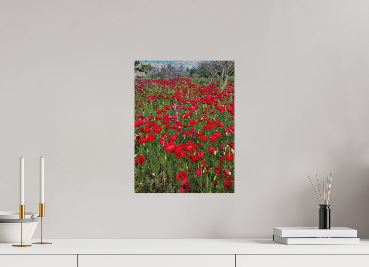 12 x 16″, Print for Outdoors Photo print of "Poppies" by Luvinans.