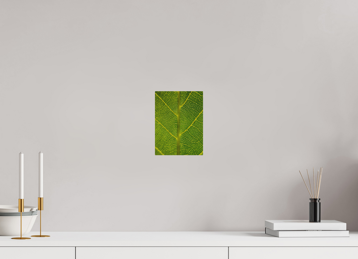 6 x 8″, Print for Outdoors Photo print of "The Leaf" by Luvinans