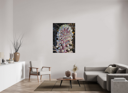 36 x 48″, Print for Outdoors Photo print of "Sea Squill" by Luvinans.