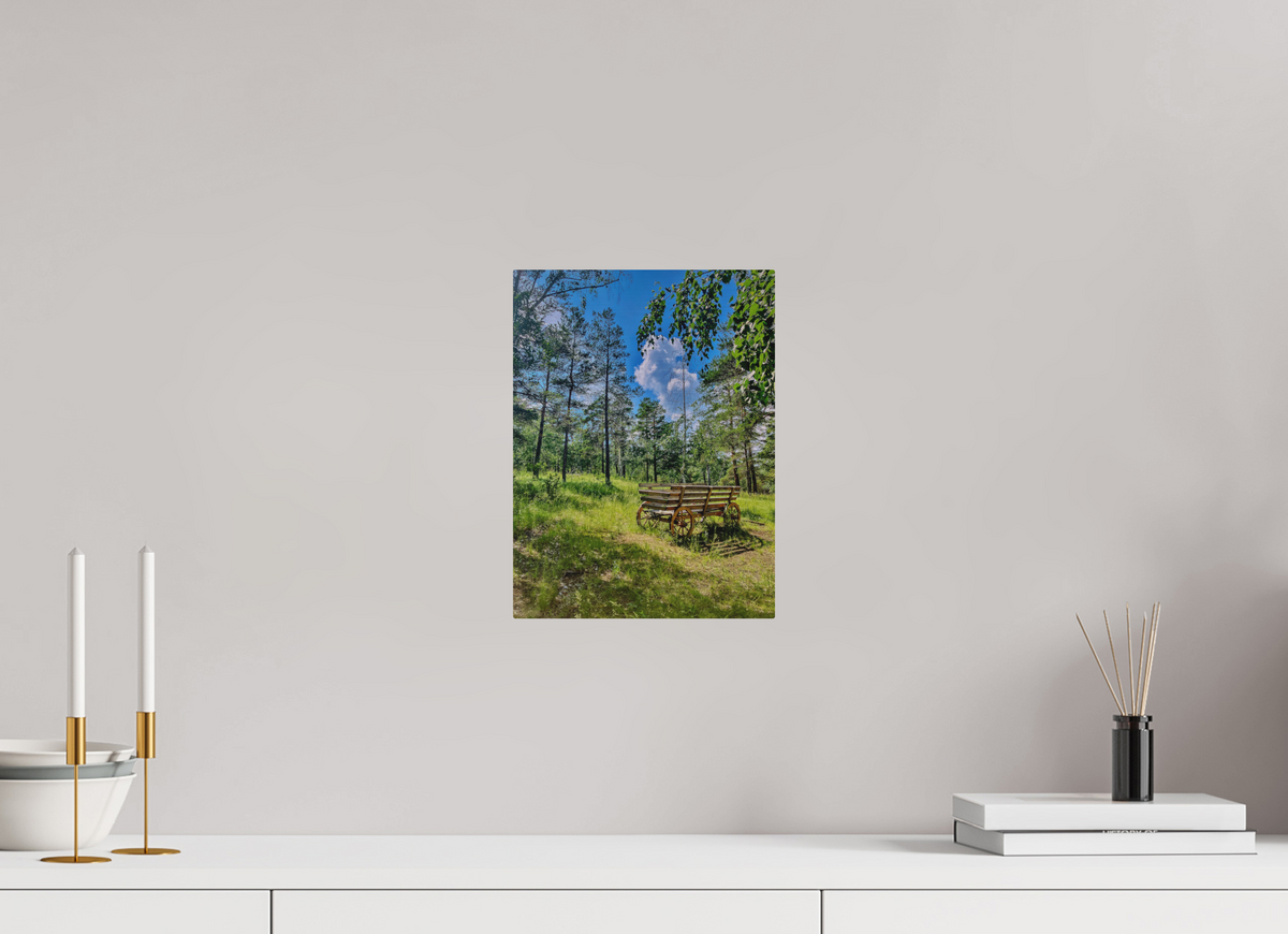 9 x 12″, Print for Outdoors Photo print of "Wheels on Green" by Luvinans
