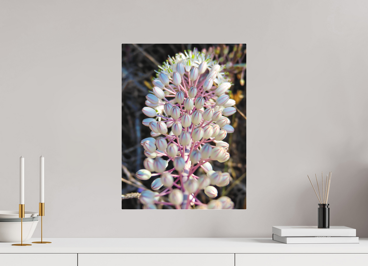 15 x 20″, Print for Indoors Photo print of "Sea Squill" by Luvinans.