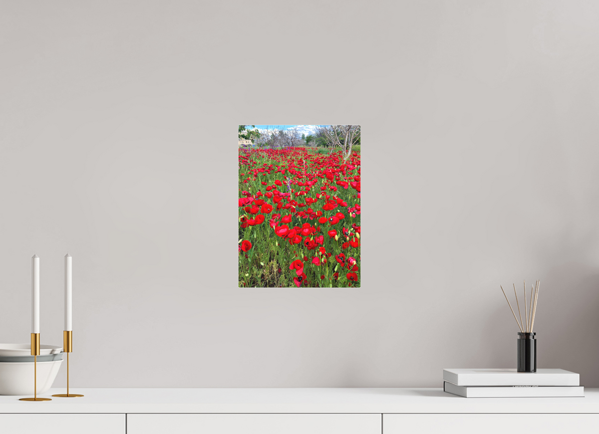 9 x 12″, Print for Indoors Photo print of "Poppies" by Luvinans.