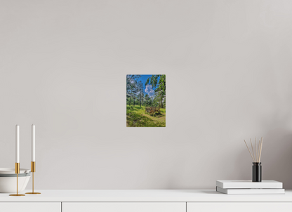 6 x 8″, Print for Outdoors Photo print of "Wheels on Green" by Luvinans