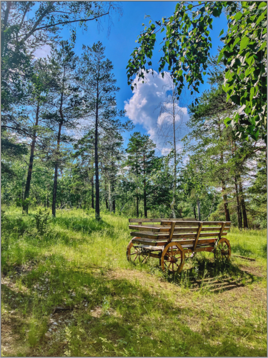 A Pop of Vintage Charm: "Wheels on Green" - photo print