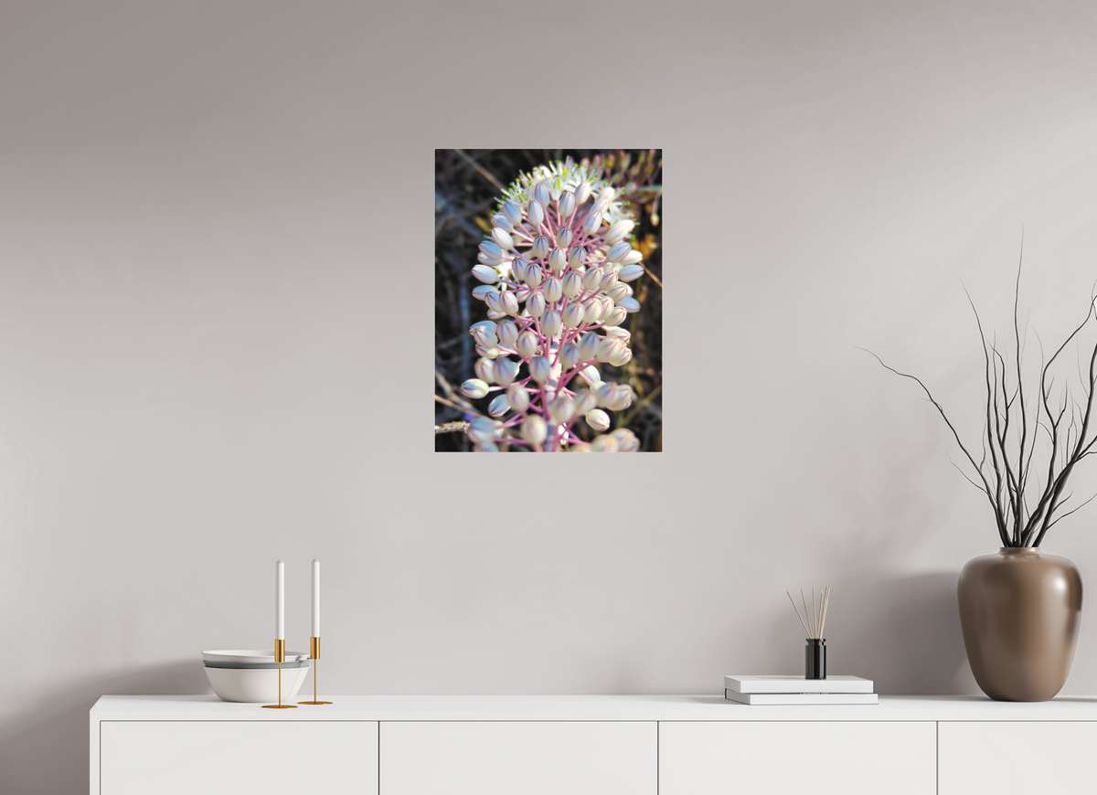 18 x 24″, Print for Indoors Photo print of "Sea Squill" by Luvinans.
