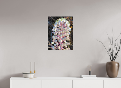 18 x 24″, Print for Indoors Photo print of "Sea Squill" by Luvinans.