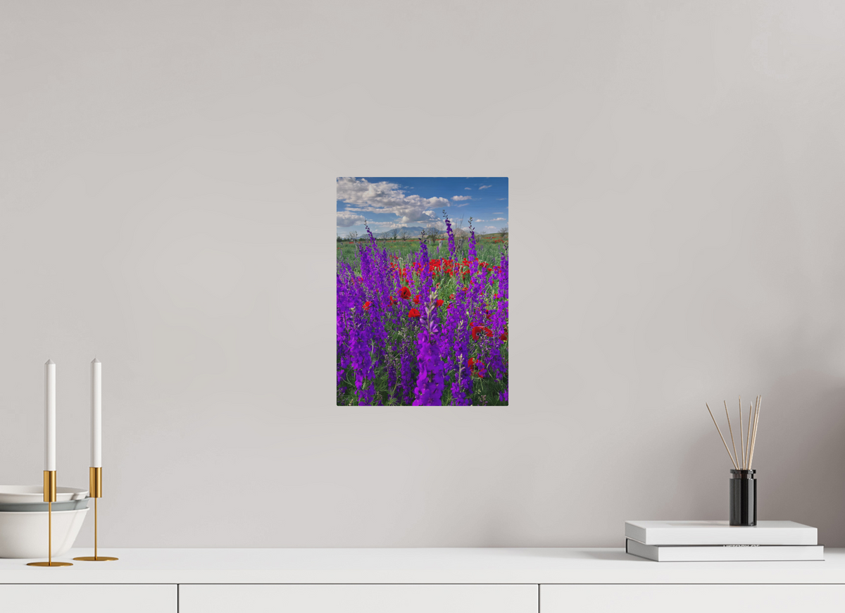 9 x 12″, Print for Outdoors Photo print of "Tall Purple Larkspul" by Luvinans