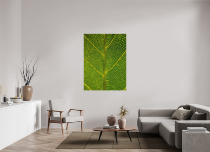 42 x 56″, Print for Outdoors Photo print of "The Leaf" by Luvinans