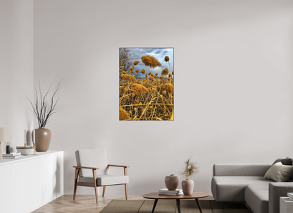 Bathe in the Warmth of Nature: "Golden Grass" - photo print