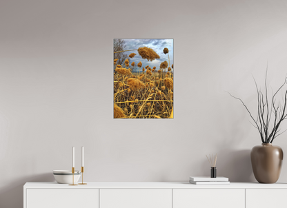 Bathe in the Warmth of Nature: "Golden Grass" - photo print