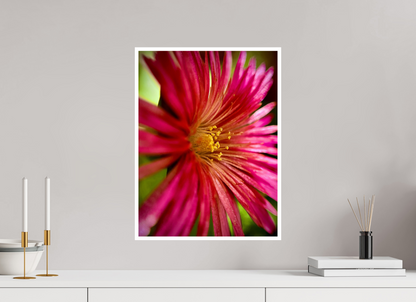 Witness the Ephemeral Art of Winter: "Close-up Trailing Ice Flower" - photo print