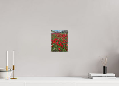 6 x 8″, Print for Outdoors Photo print of "Poppies" by Luvinans.