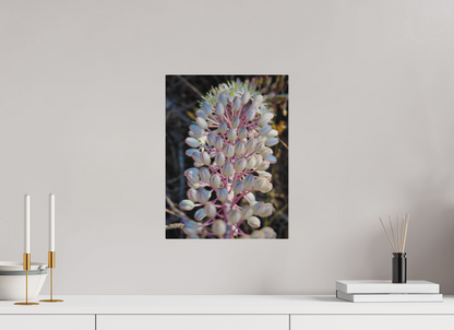 12 x 16″, Print for Outdoors Photo print of "Sea Squill" by Luvinans.