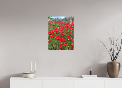 18 x 24″, Print for Indoors Photo print of "Poppies" by Luvinans.