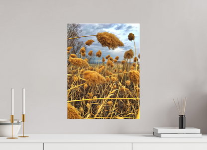Bathe in the Warmth of Nature: "Golden Grass" - photo print