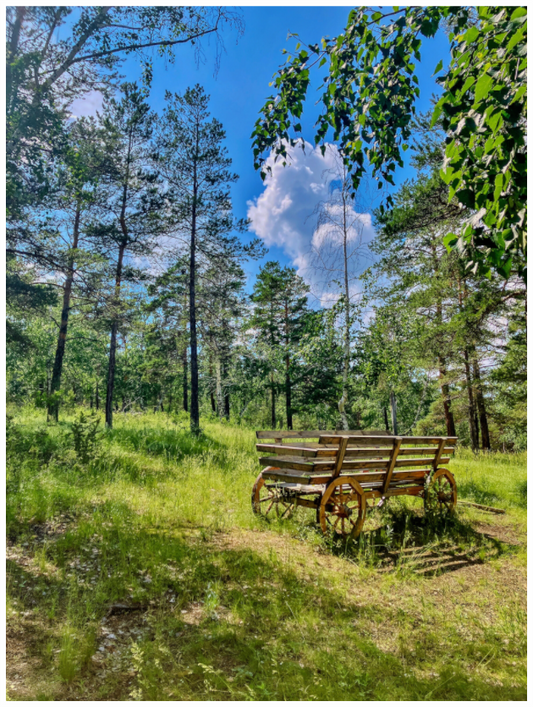 Main image A Pop of Vintage Charm: "Wheels on Green" - photo print