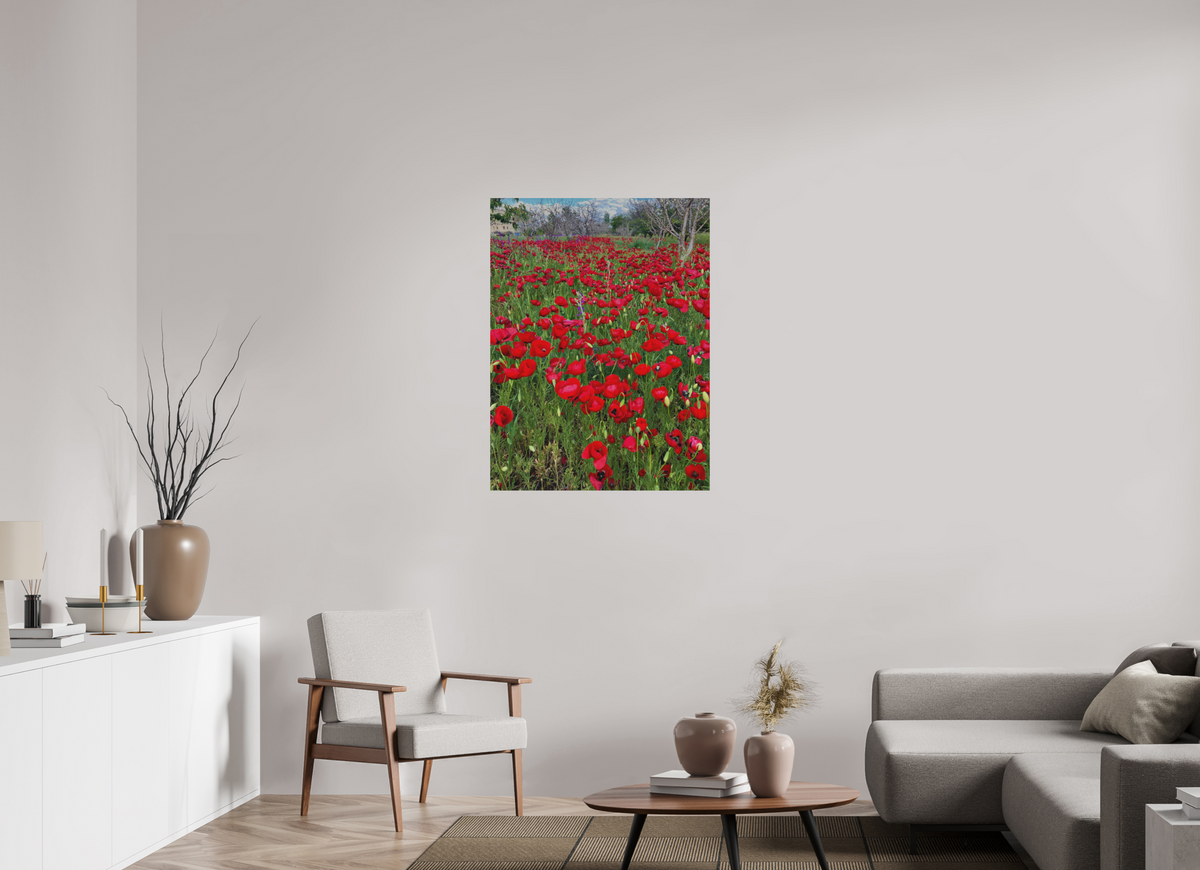 30 x 40″, Print for Outdoors Photo print of "Poppies" by Luvinans.