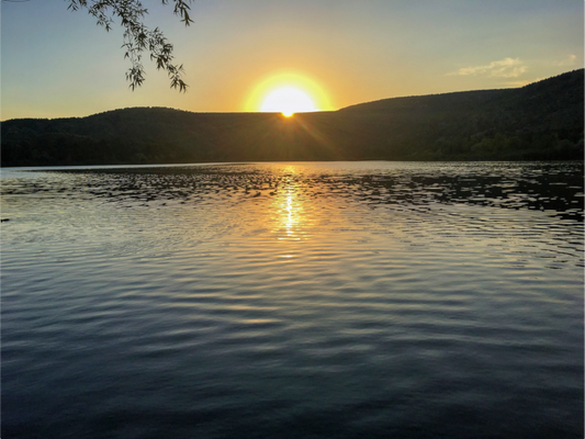 Golden Sun - photo print
