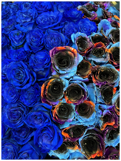 Main image Indulge in the Dramatic Beauty of "Heavy Roses" - photo print