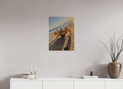 18 x 24″, Print for Outdoors Photo print of "The Crab" by Luvinans