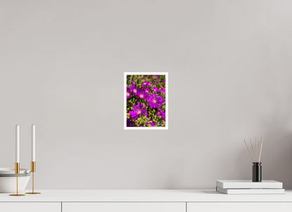 Behold the Fragile Beauty of Winter: "Hardy Ice Flower" - photo print