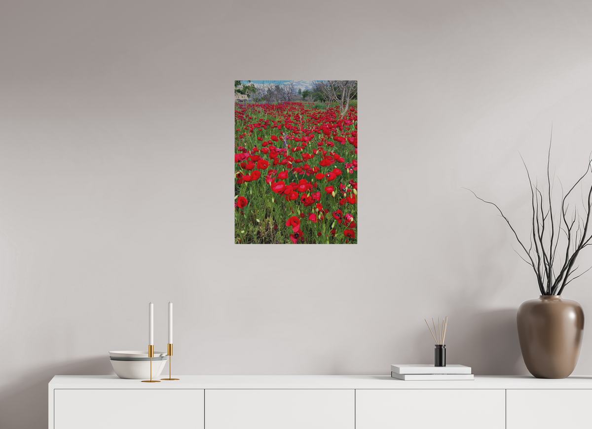 18 x 24″, Print for Outdoors Photo print of "Poppies" by Luvinans.