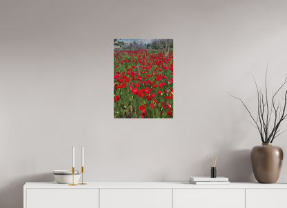 18 x 24″, Print for Outdoors Photo print of "Poppies" by Luvinans.