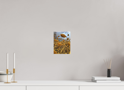 Bathe in the Warmth of Nature: "Golden Grass" - photo print