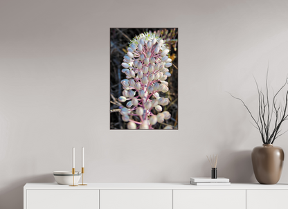 Discover the Resilient Beauty of the Coast: "Sea Squill" - photo print