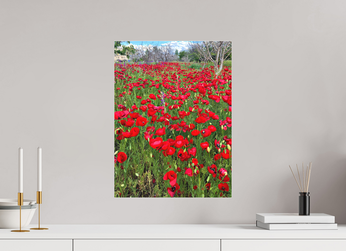 15 x 20″, Print for Indoors Photo print of "Poppies" by Luvinans.