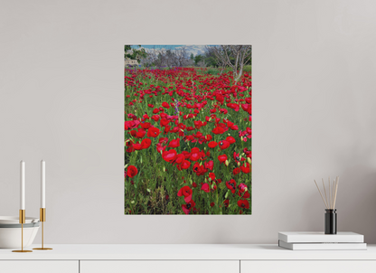 15 x 20″, Print for Outdoors Photo print of "Poppies" by Luvinans.