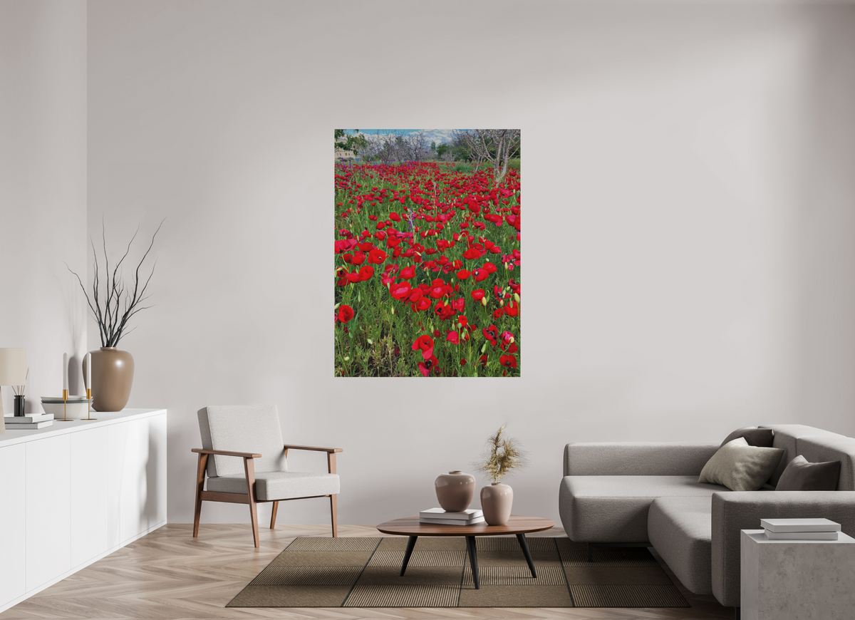 45 x 60″, Print for Outdoors Photo print of "Poppies" by Luvinans.