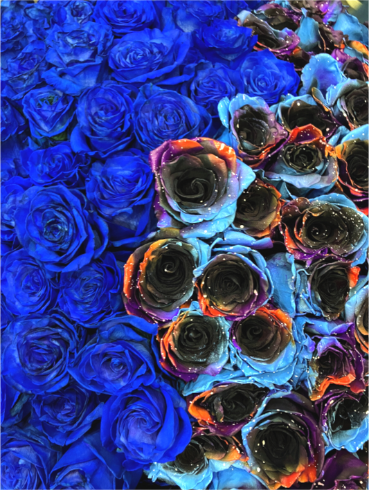 Heavy Roses - photo print