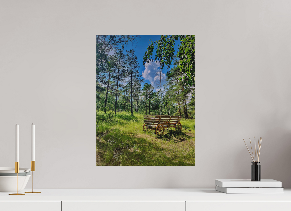 15 x 20″, Print for Outdoors Photo print of "Wheels on Green" by Luvinans