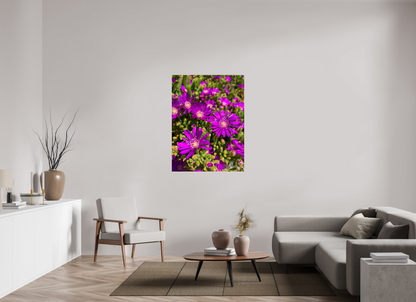 Behold the Fragile Beauty of Winter: "Hardy Ice Flower" - photo print