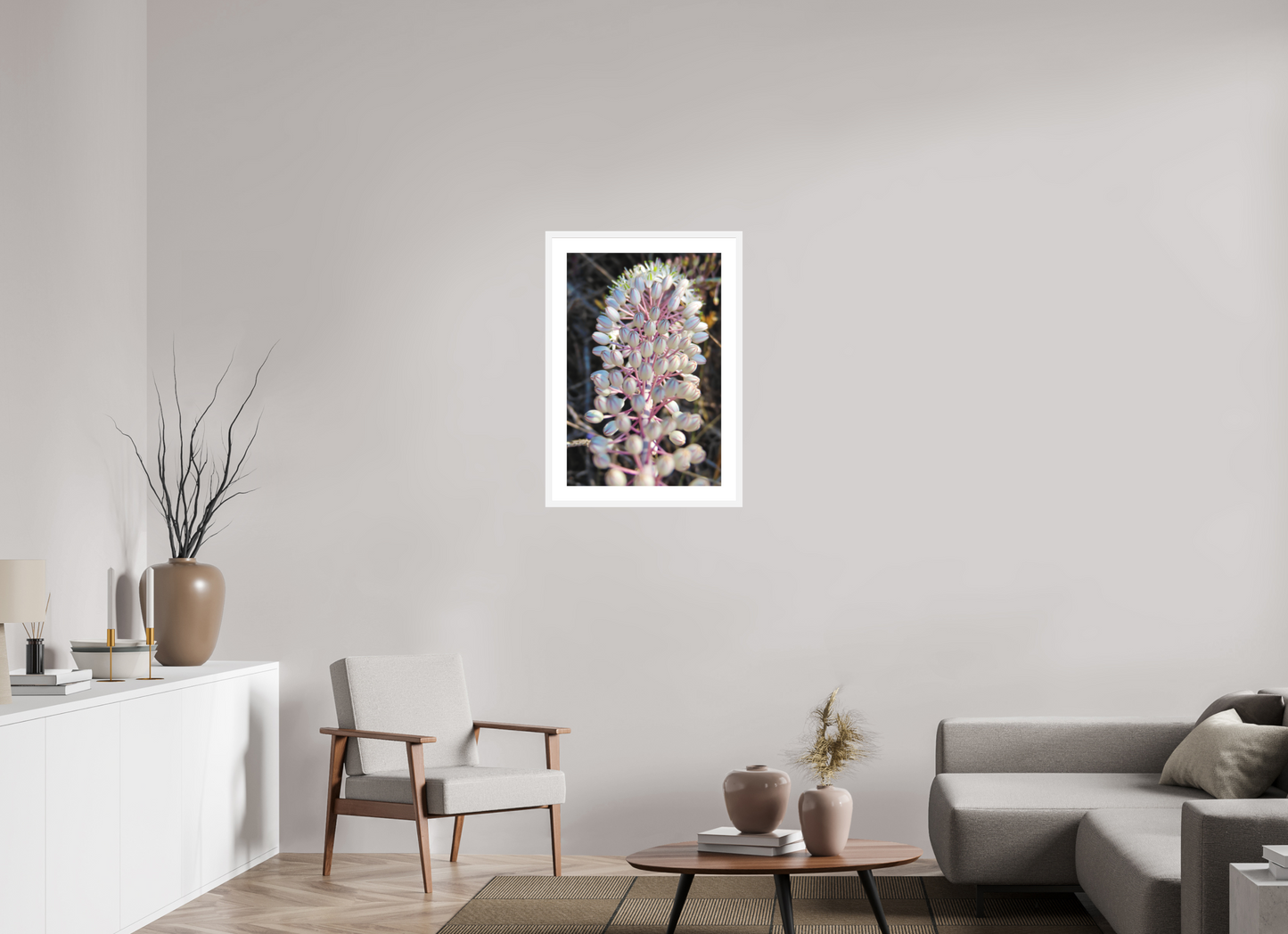 Sea Squill - photo print